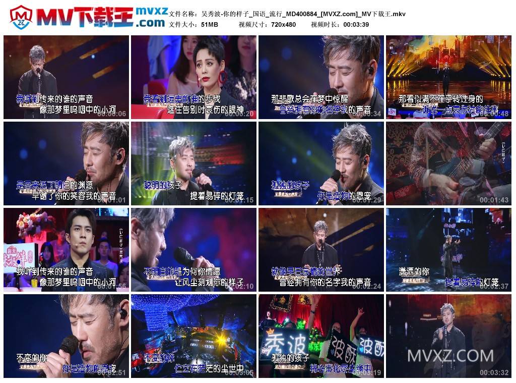 吴秀波-你的样子_国语_流行_MD400884